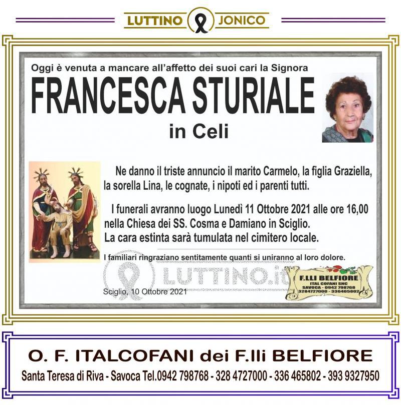 Francesca Sturiale 